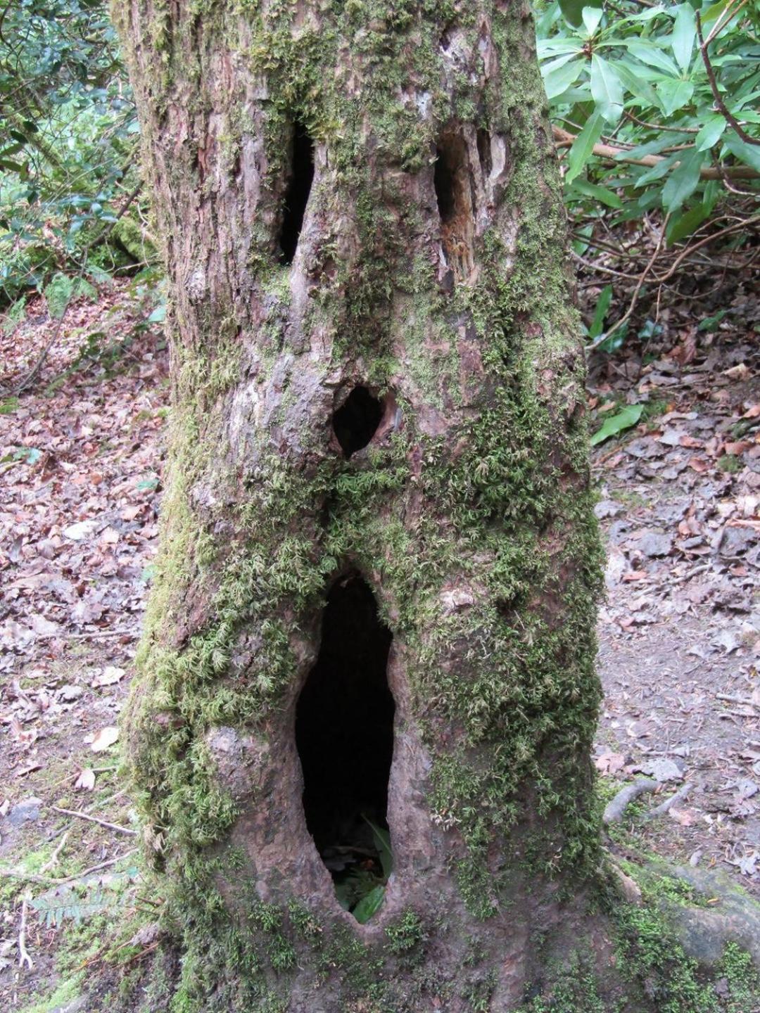 バイアースブロンNaehe Nationalparkアパートメント エクステリア 写真